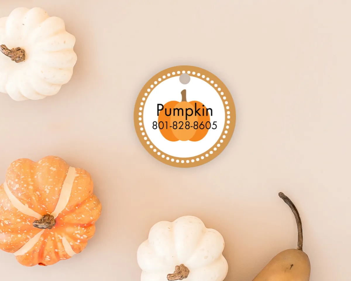 Custom pumpkin dog tag for girl or boy dogs, perfect for fall. Personalized pet ID tags with fall-themed design for stylish and safe pets.