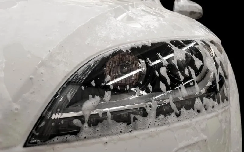 in Frankfurt Am Main