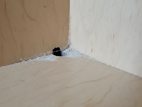 Bed Bug Elimination Bowling Green, KY
