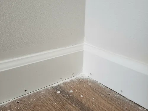 Cockroach Elimination Bowling Green, KY