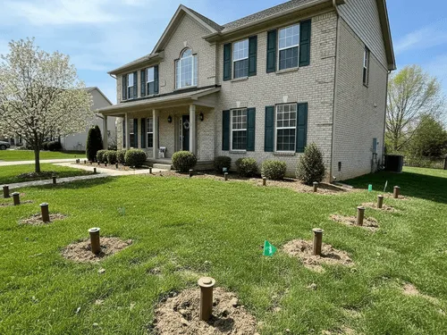 Bed Bug Elimination Bowling Green, KY