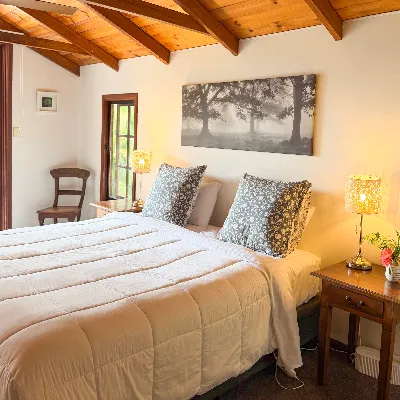 The Olive Suite tranquil retreat space