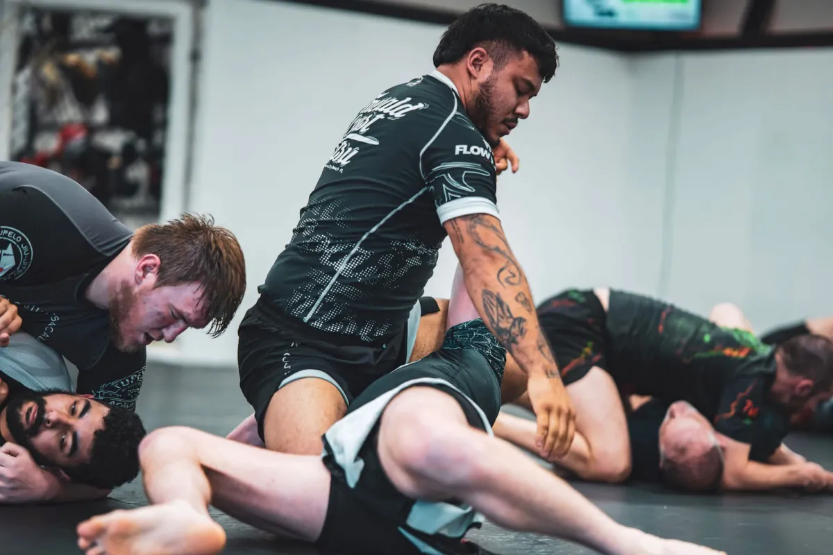 Beginner BJJ Classes for Adults