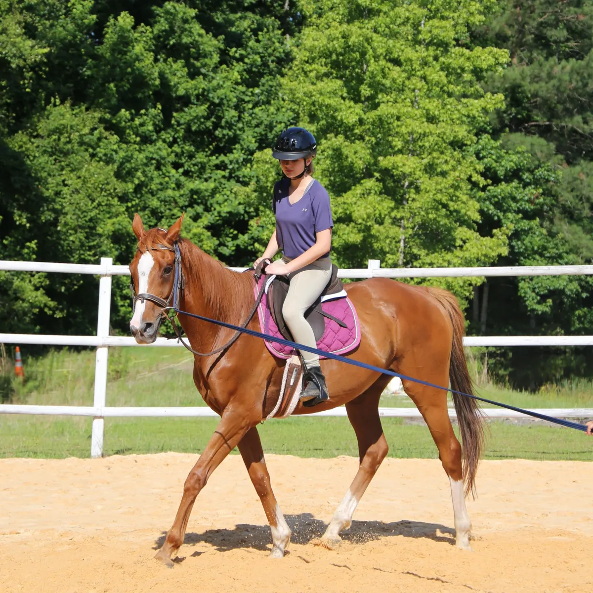 Young boy learning to ride a pony in a Western saddle during children’s horseback riding lessons at Pony Gang Riding Academy.