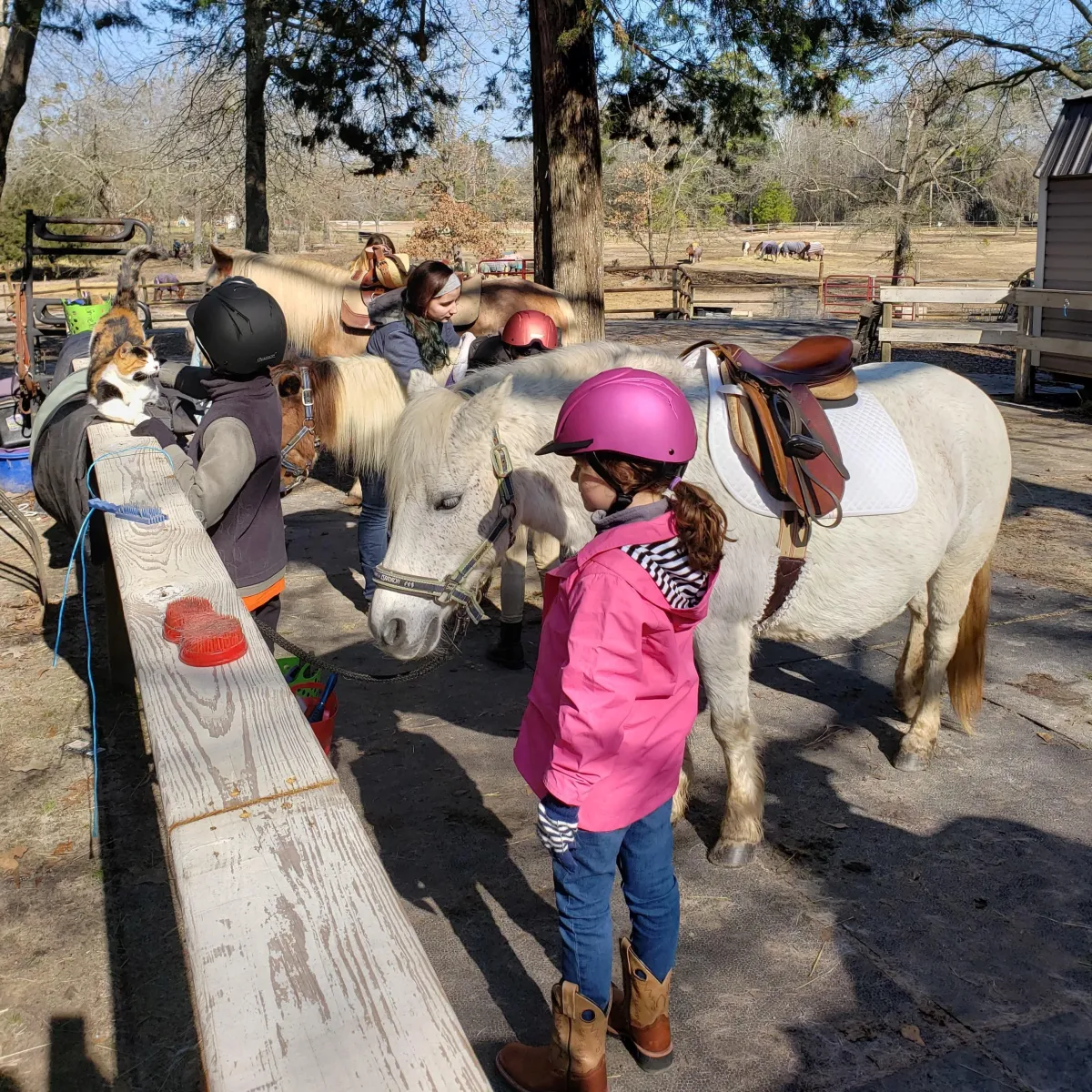 Kids get ready for their ride at Camp