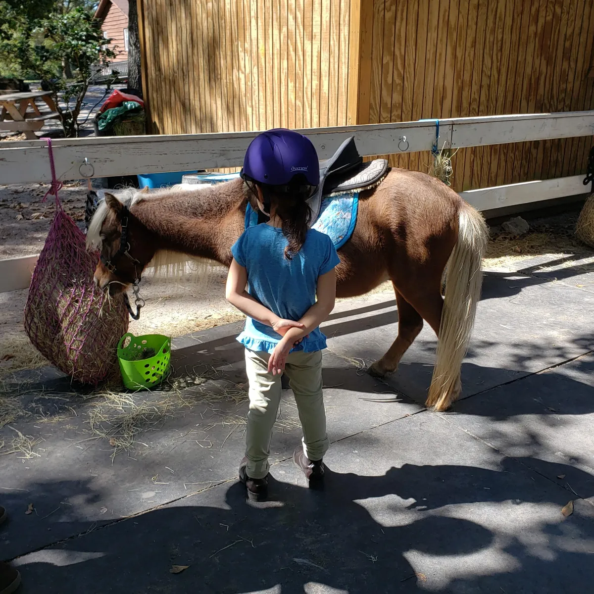 boy is learning to sit and balance on his pony