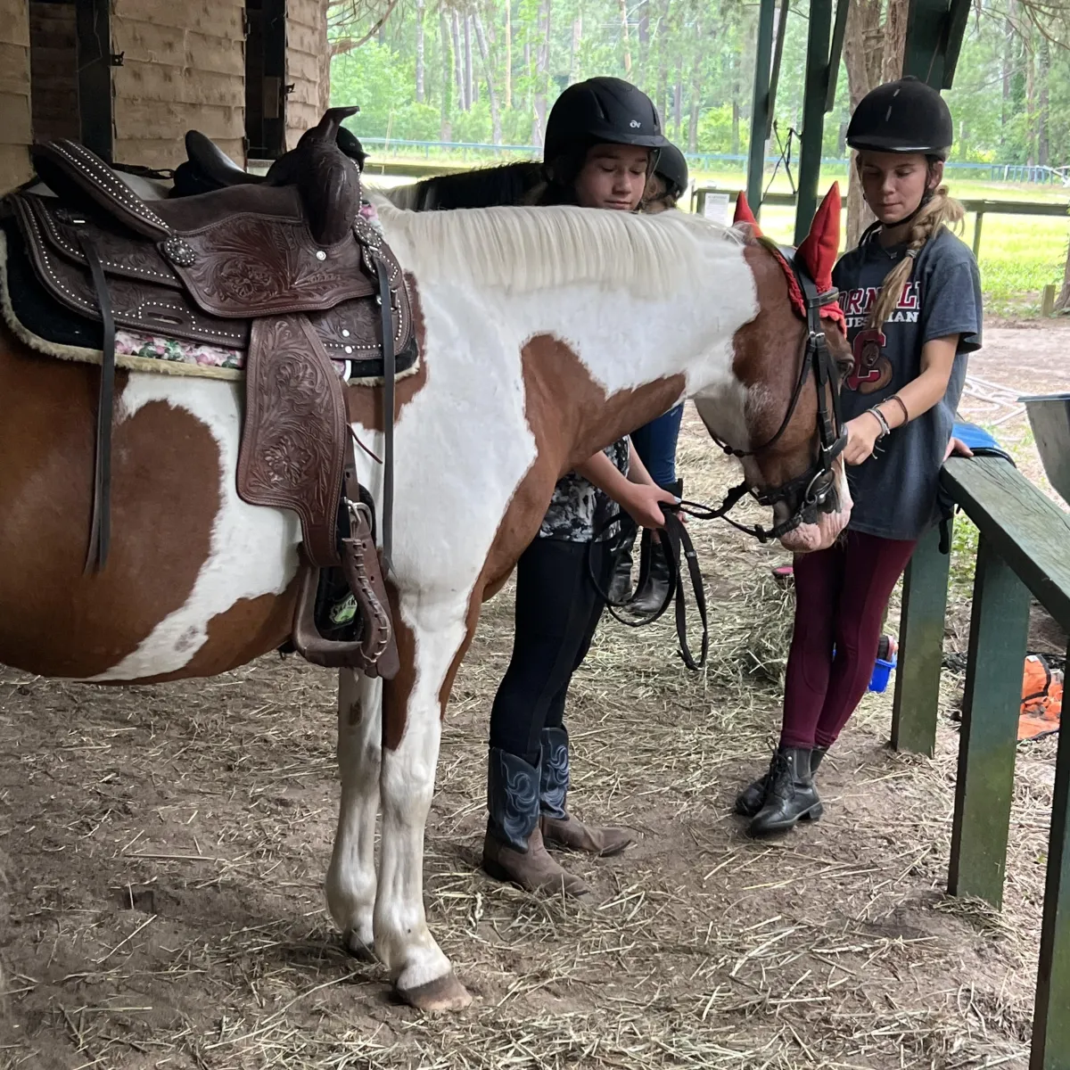 Campers grooming and tacking a paint horse during educational horse camp in Hopkins SC