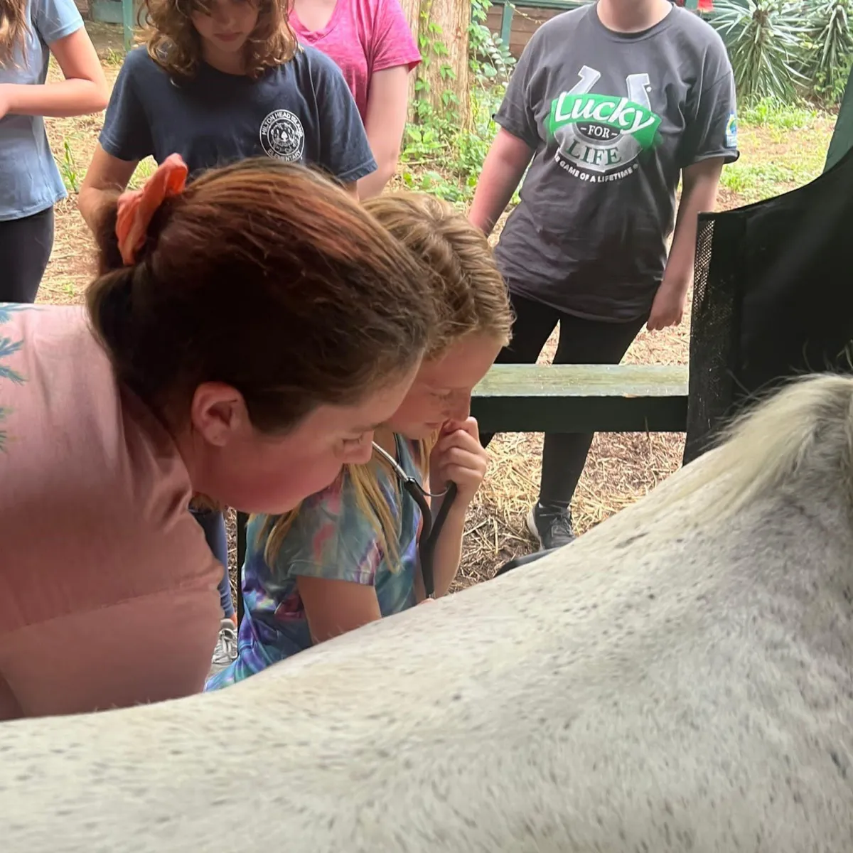Instructor teaching children how to groom and care for a horse during educational horse camp
