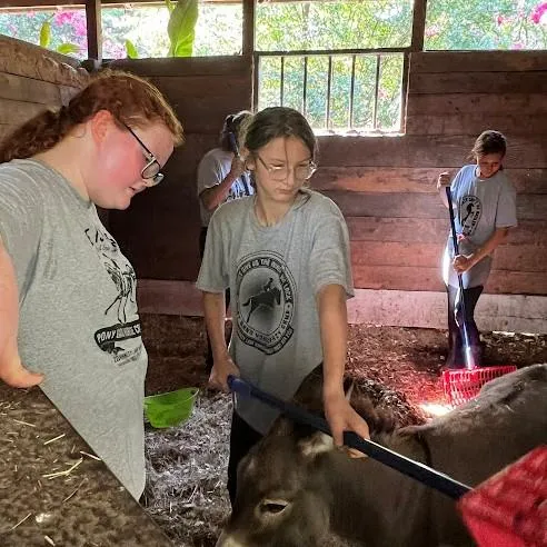 Campers cleaning stalls at camp 