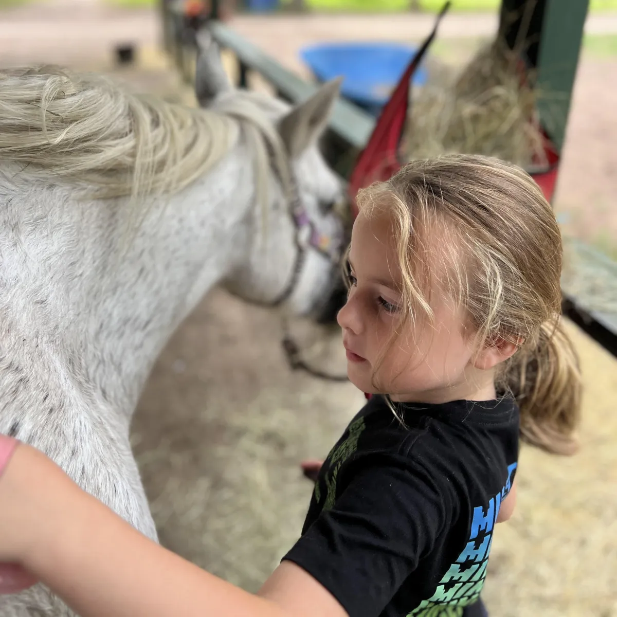 Little boy is loving his Tiny tot riding lesson