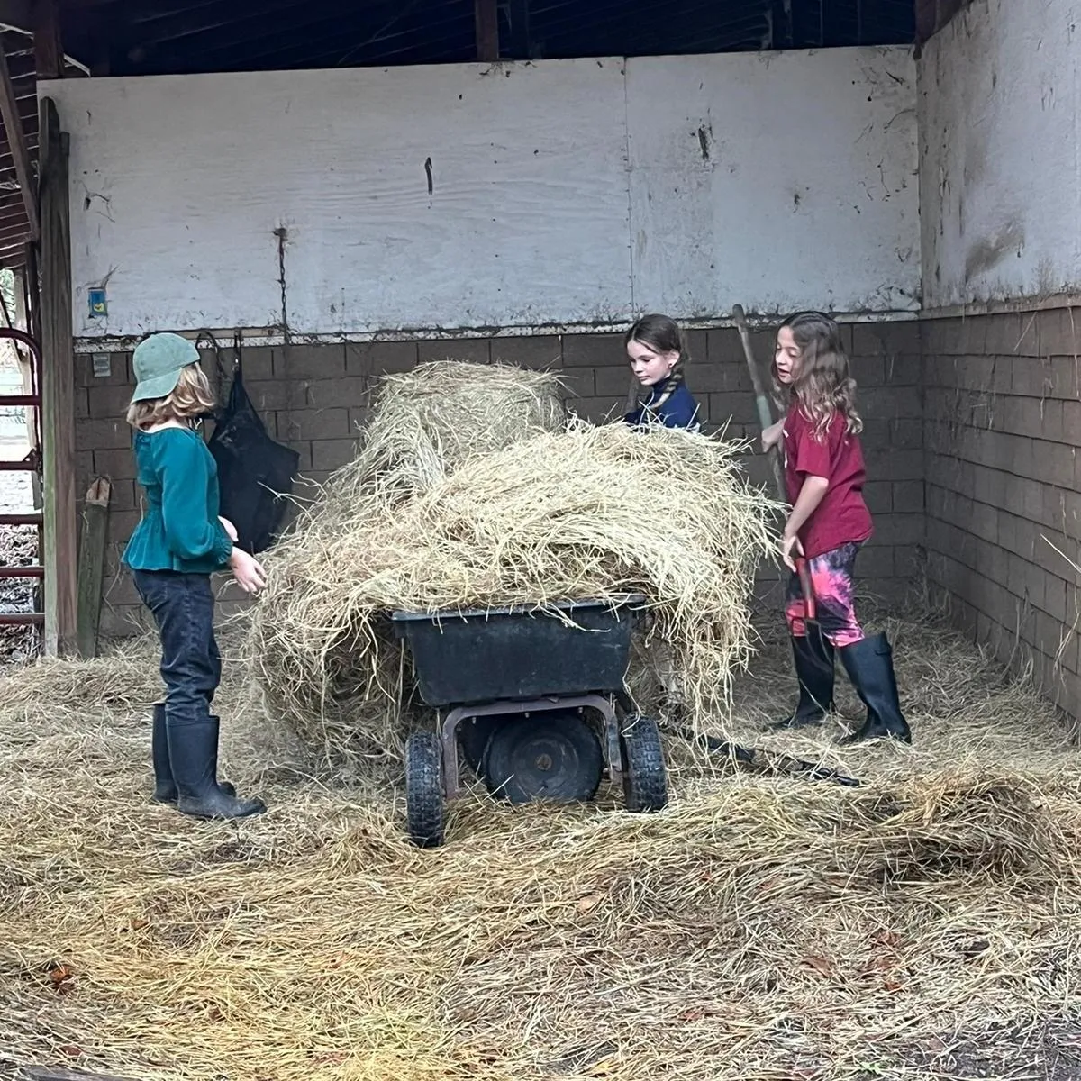 Campers helping move hay in barn as part of hands-on horsemanship education