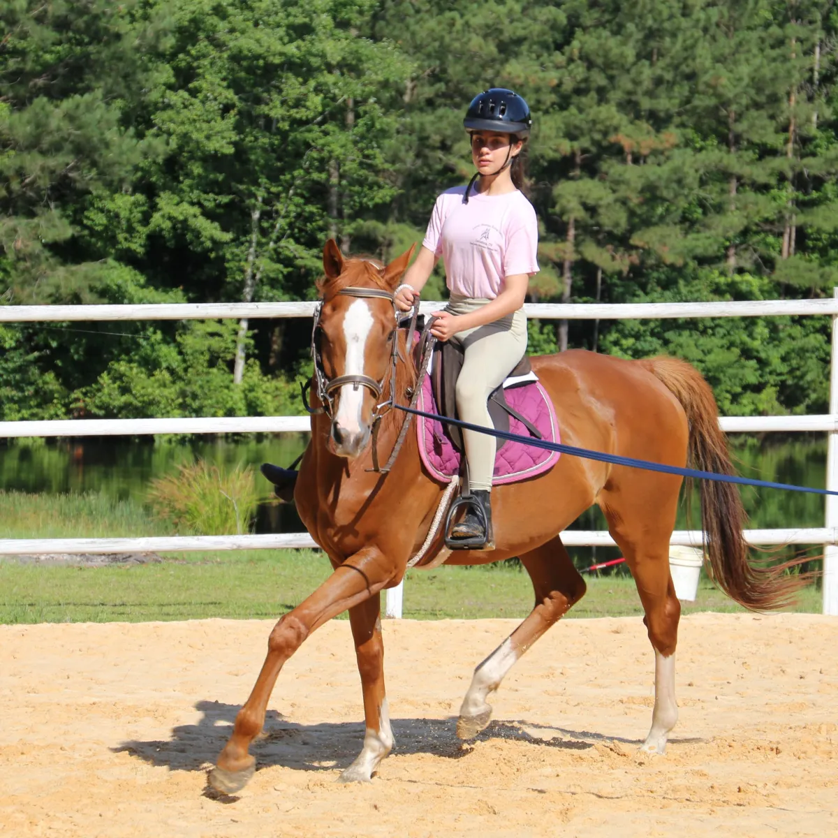 Tiny Tot girl is loving her lessons pony 