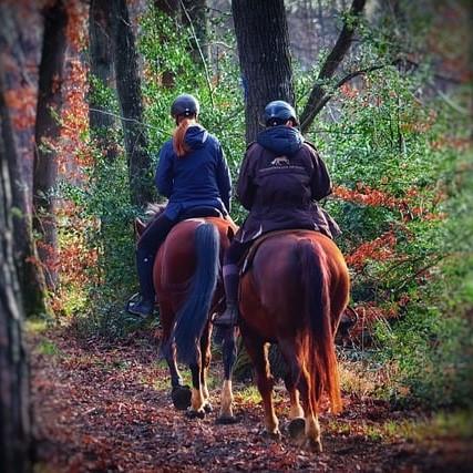 Horse loving Camp Girl