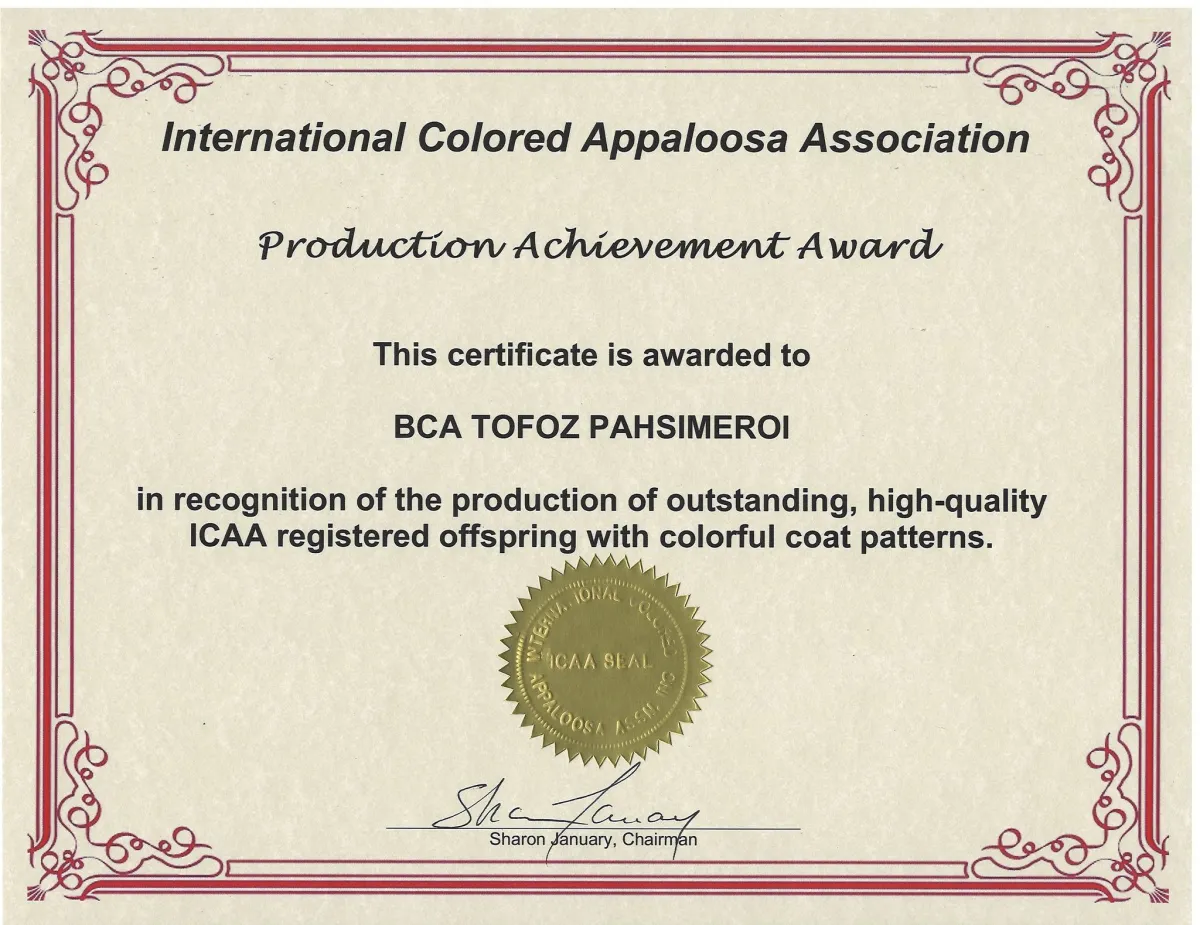 ICAA Production Achievement Award earned by BCA Tofoz Pahsimeroi in April for producing colorful, quality offspring.