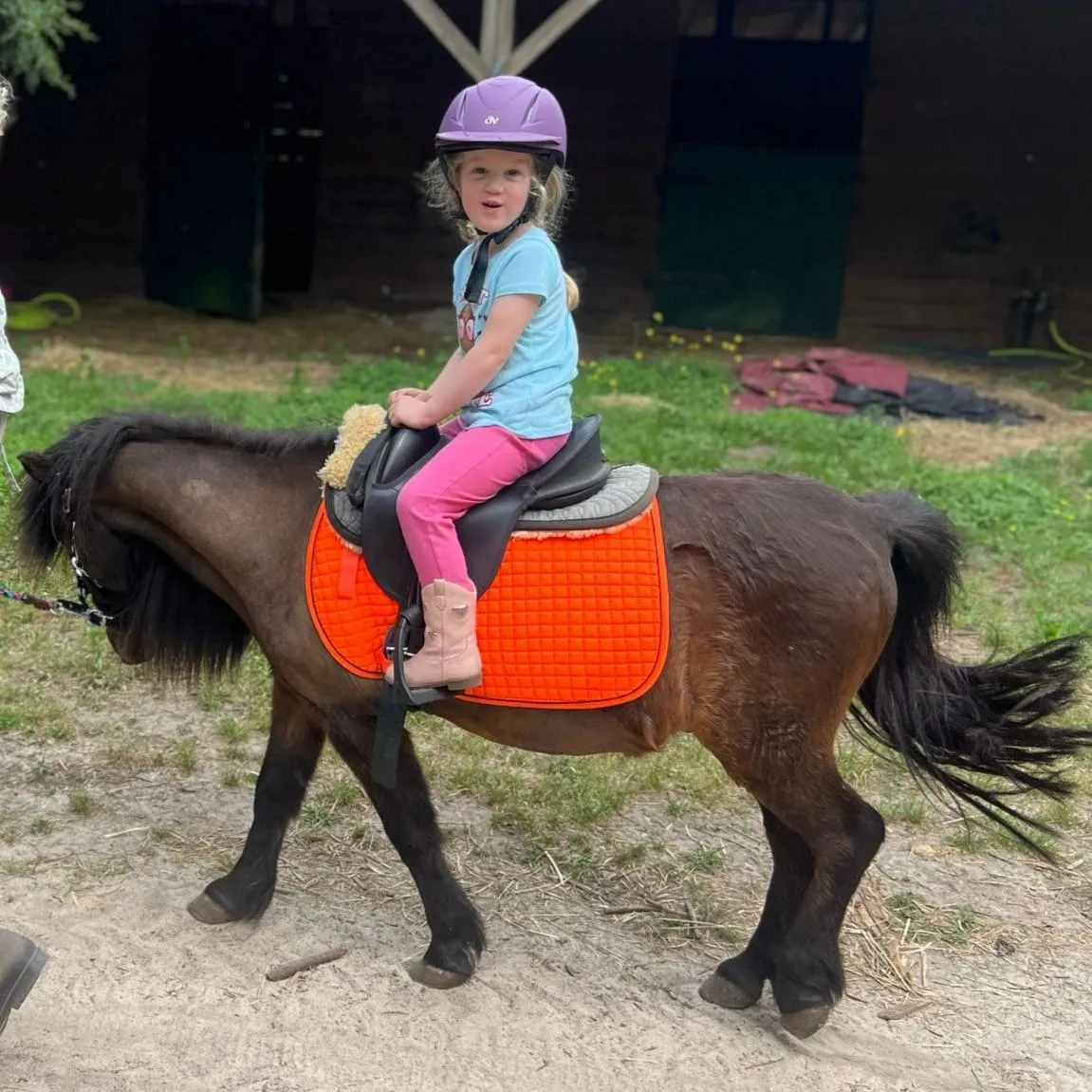 Tiny tot girl is leading her pony