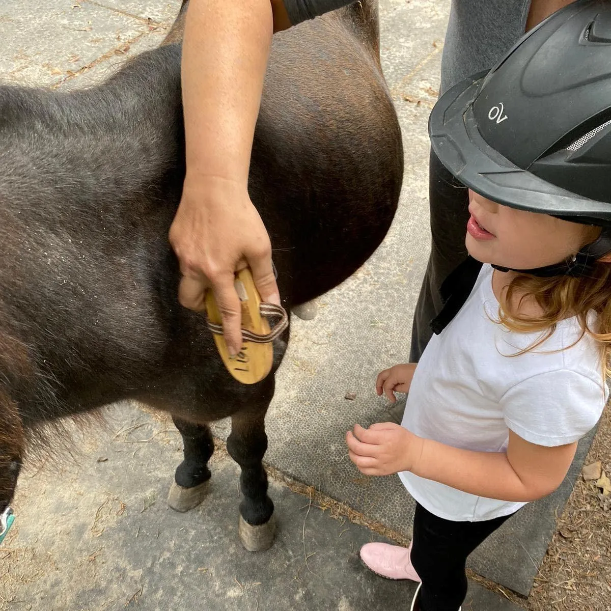 boy is learning to sit and balance on his pony
