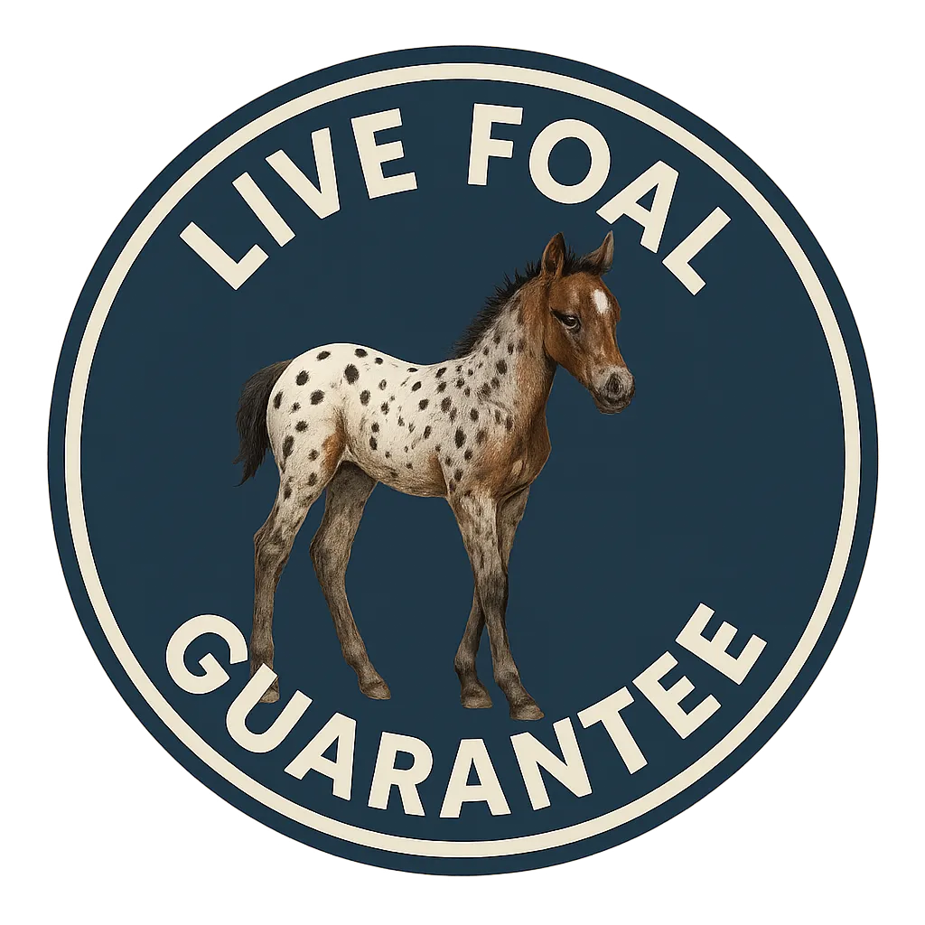 Live Foal Guarantee badge featuring a spotted Foundation Appaloosa foal.