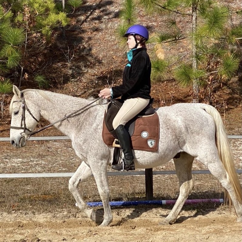 Tiny tot girl is leading her pony