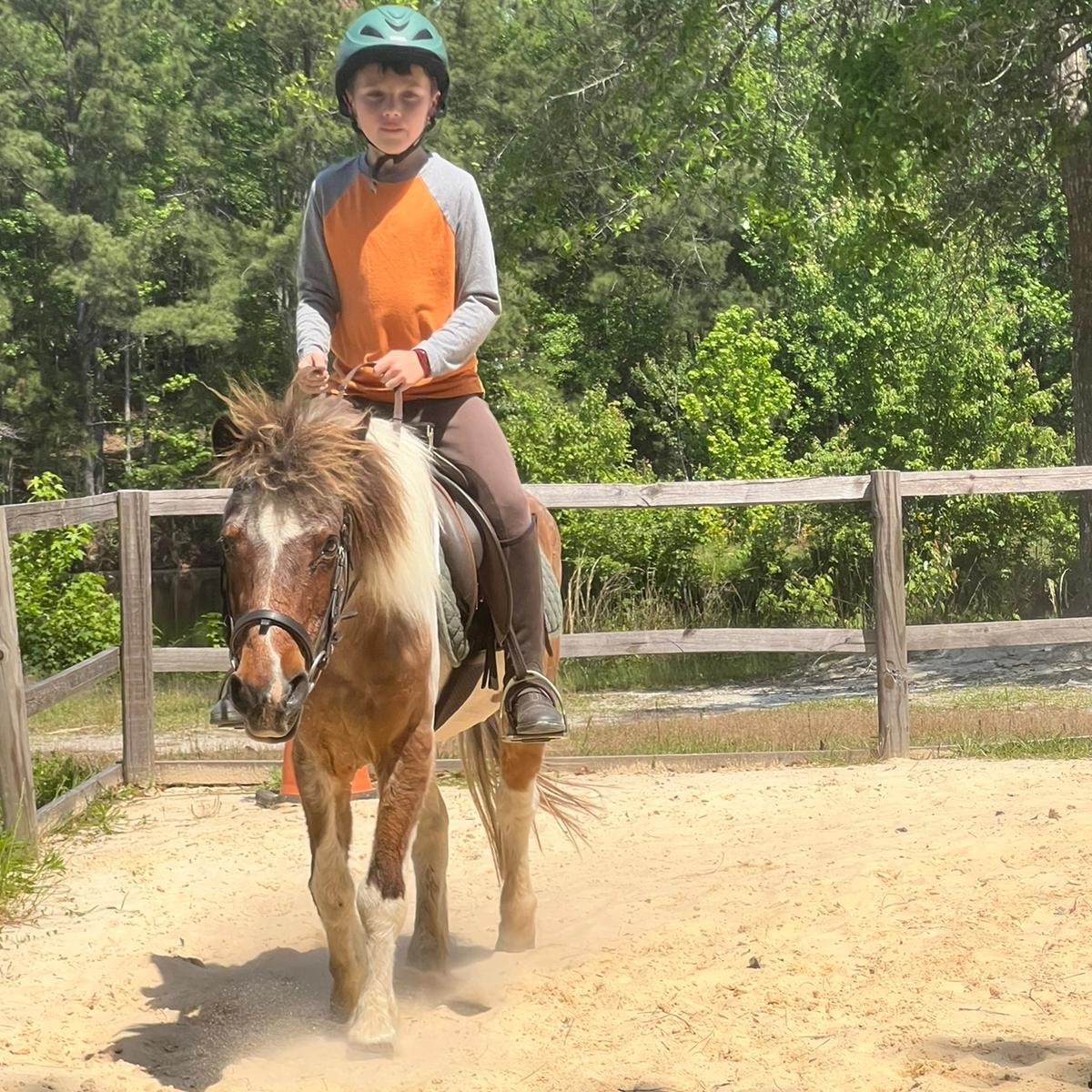 Tiny tot boy is learning how hold reins