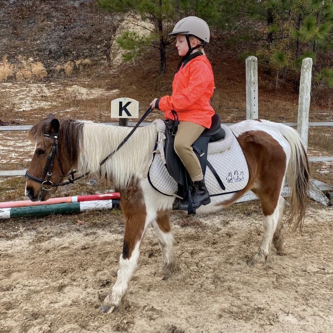 Little girl is loving her lessons pony