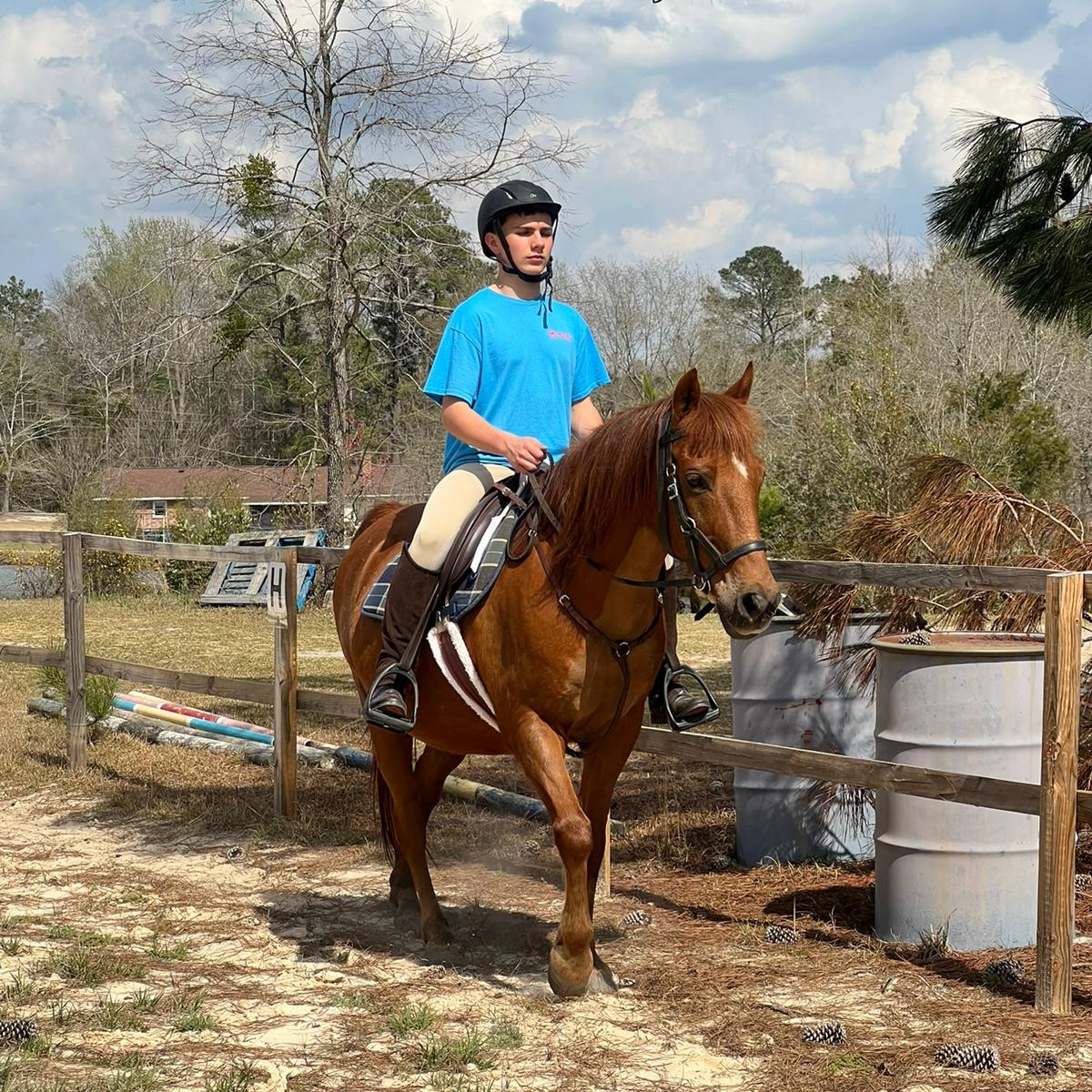 Tiny Tot has fun with vaulting