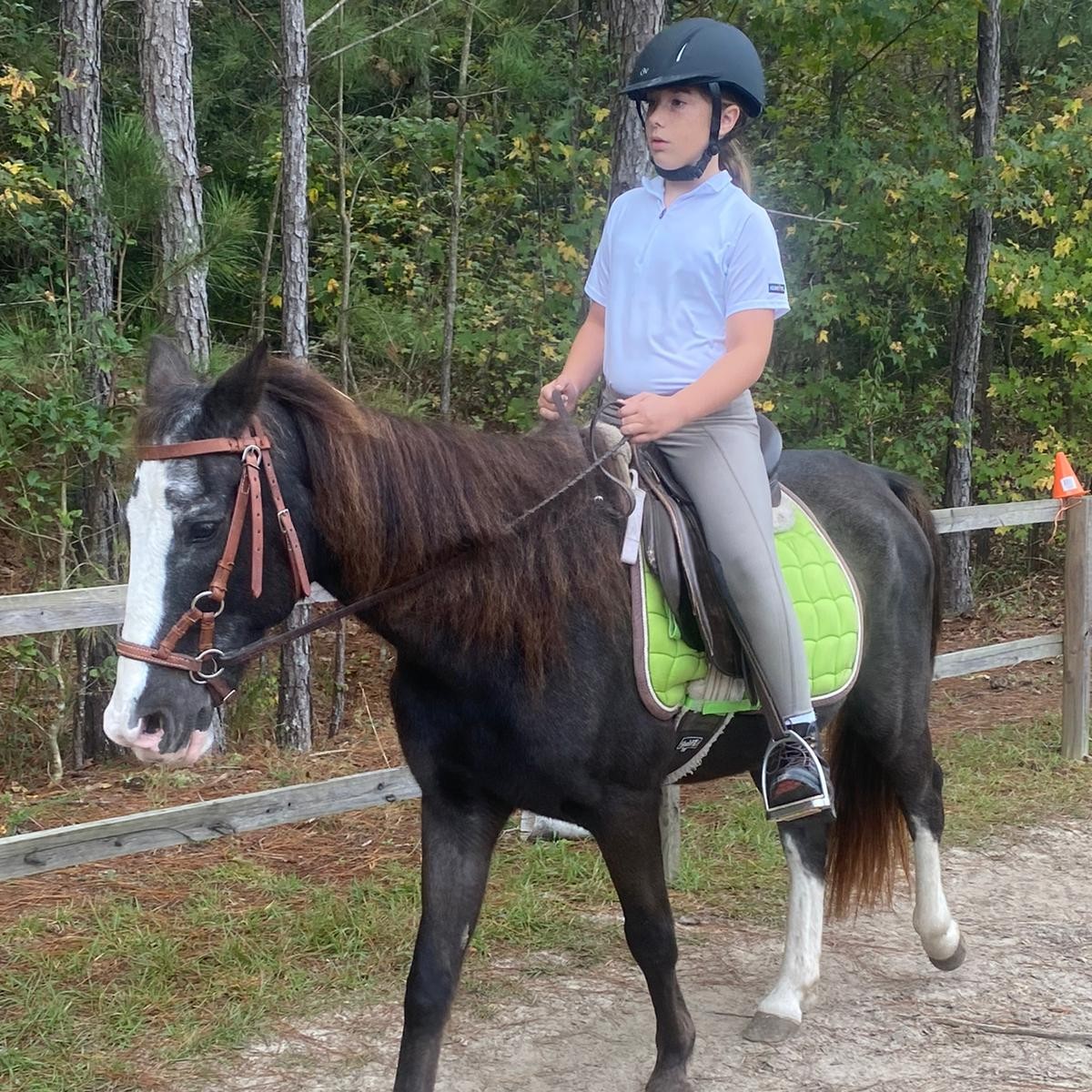 Tiny Tot is grooming with her trainer