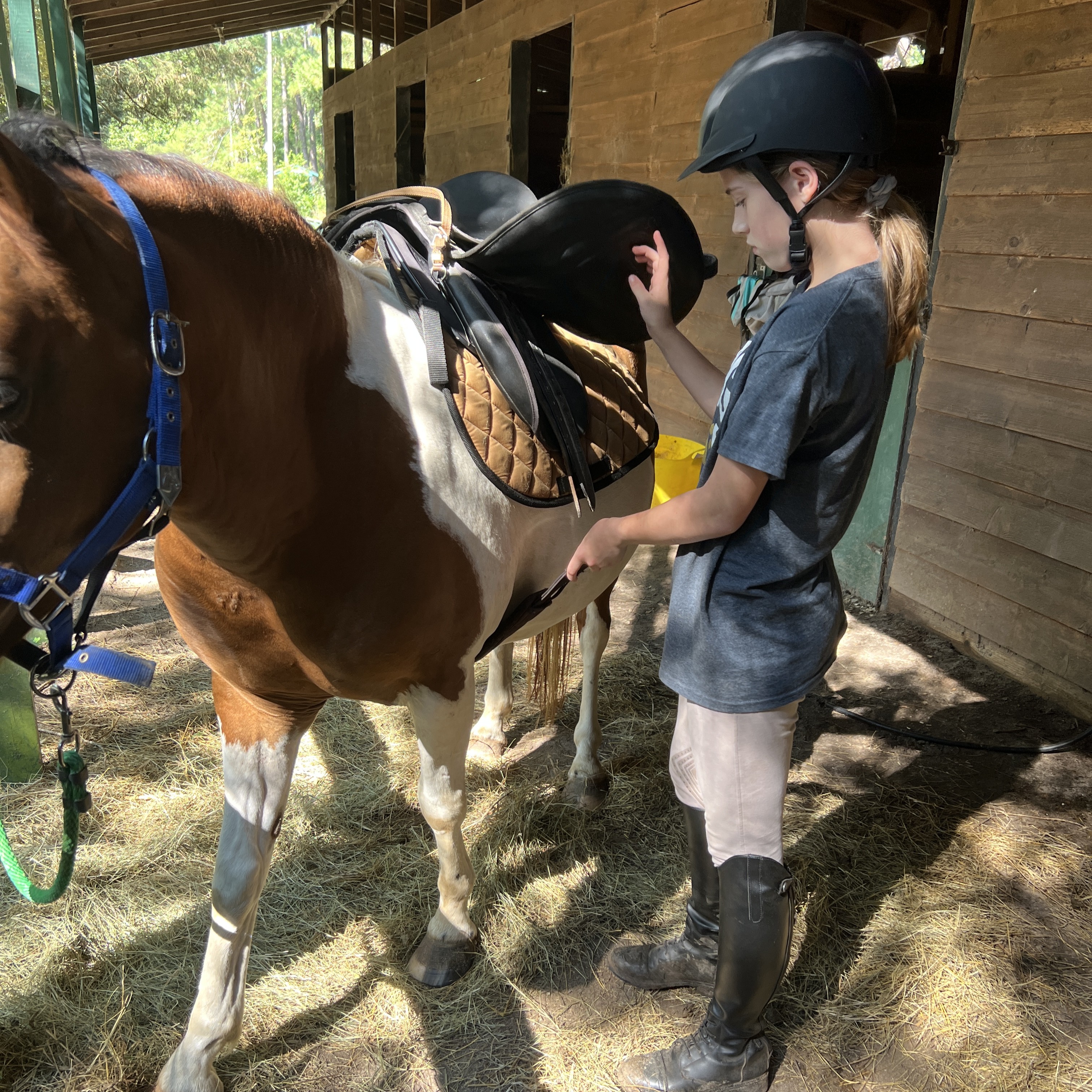 Tiny Tot girl is loving her lessons pony 