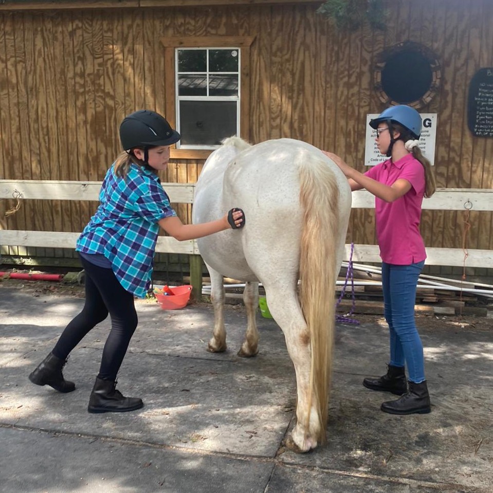 Tiny tot boy is learning how hold reins