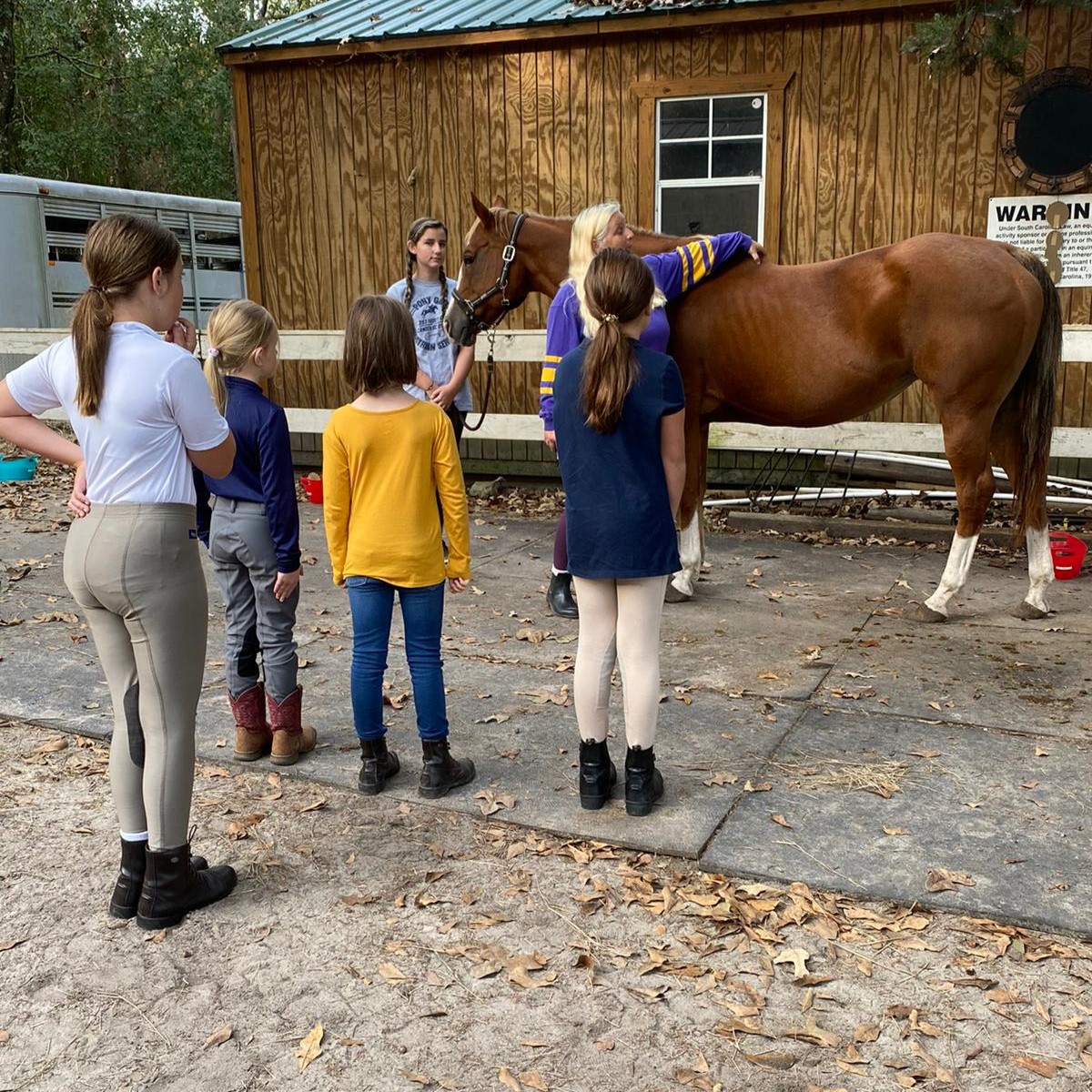 Tiny tot girl is leading her pony