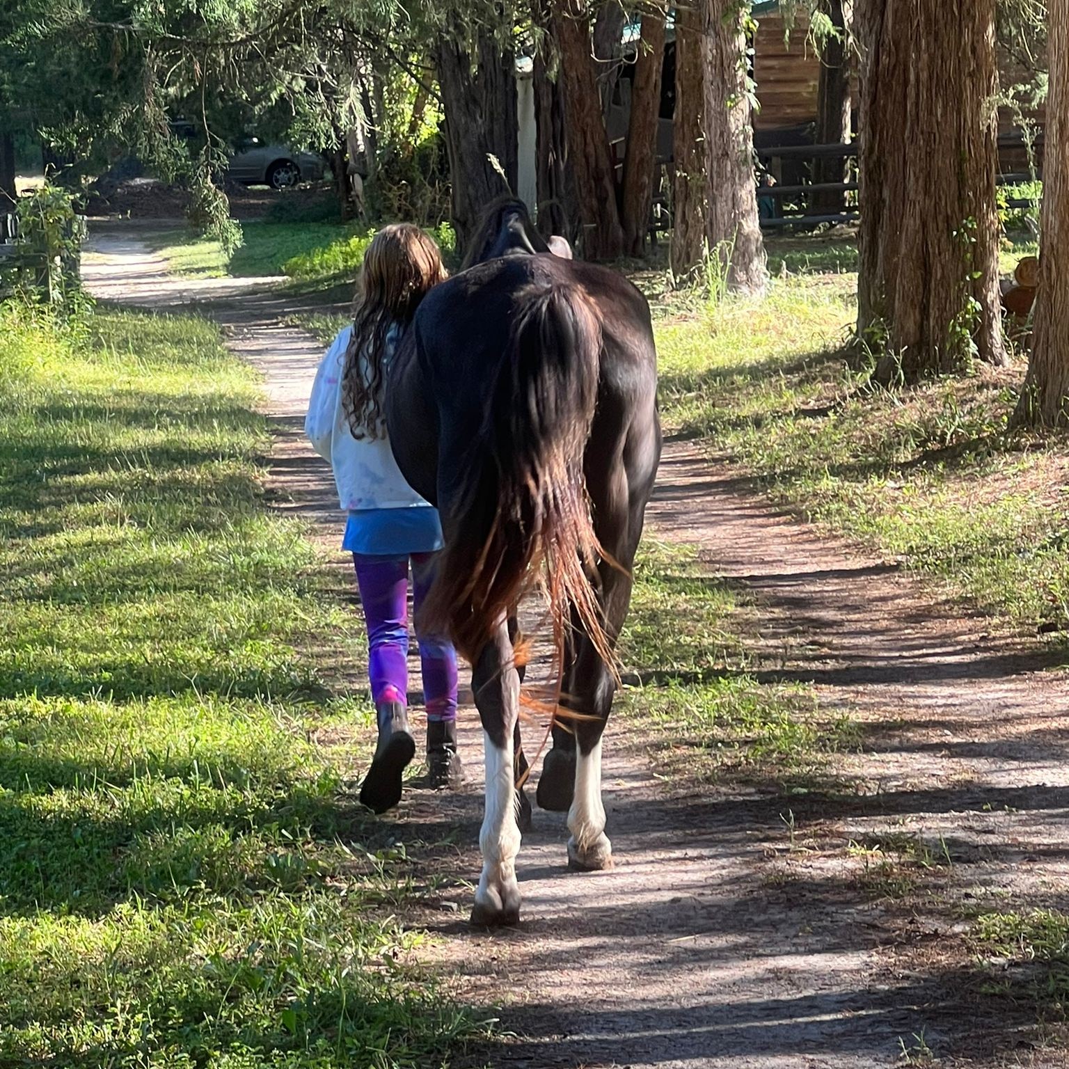 Tiny Tot girl is loving her lessons pony 