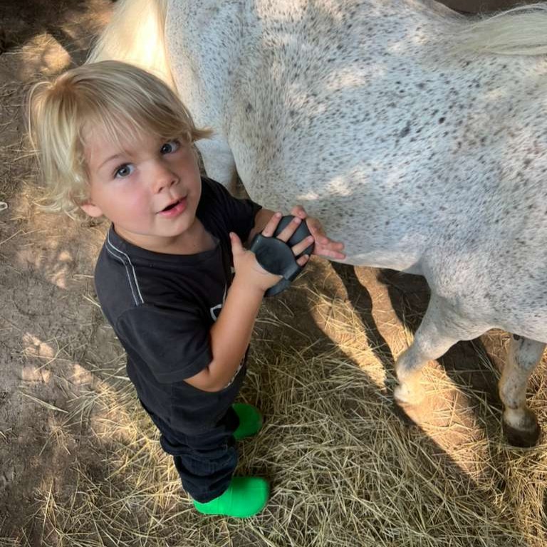 Tiny tot girl is leading her pony
