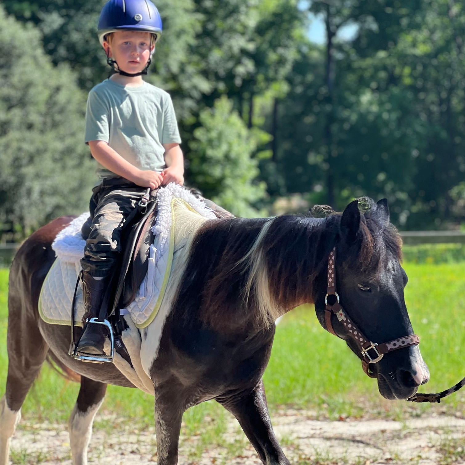 Little girl is loving her lessons pony 