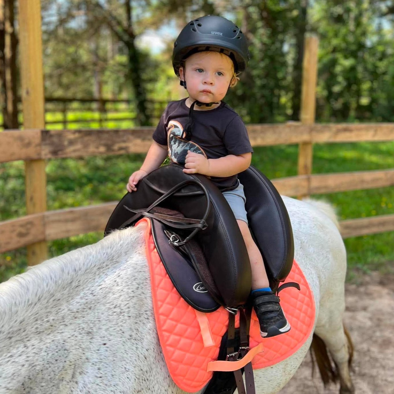 Little boy is loving his Tiny tot riding lesson