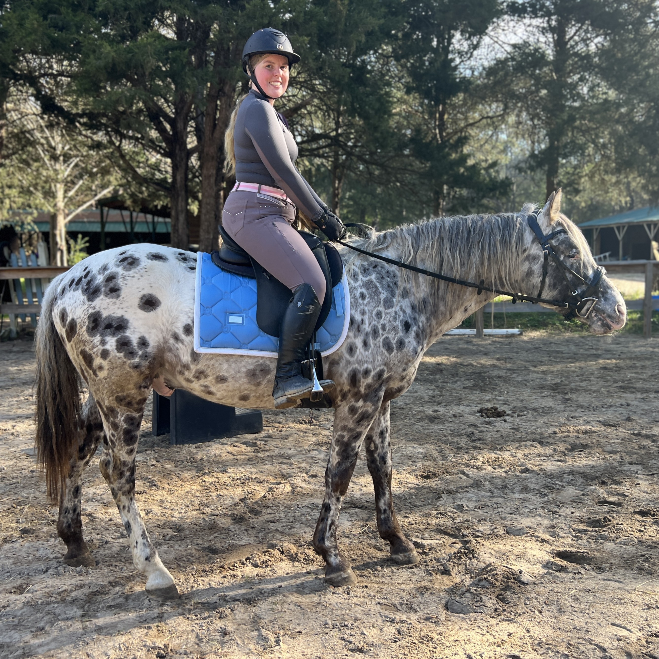 BCA Chats Nuksay – GAP 5 foundation Appaloosa stallion with rare peacock spot coat at Spotted Gang Appaloosas, SC.