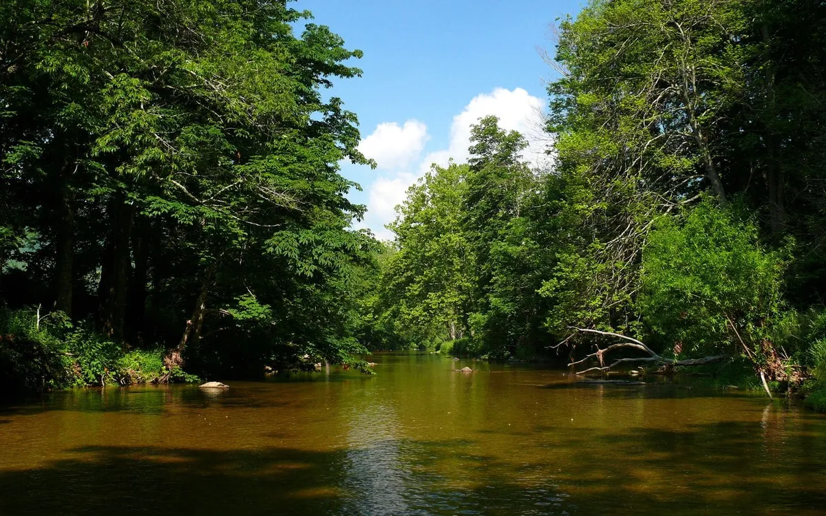 Plan Your Tennessee Travels With Confidence: Rent a Car in Murfreesboro, TN