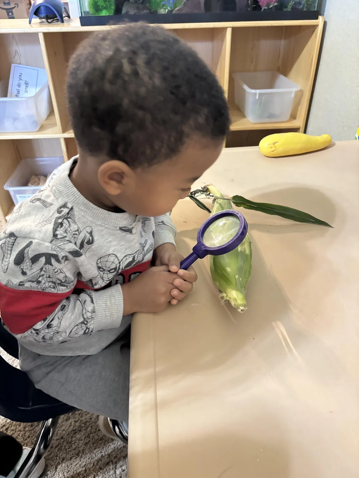 Boy picks paper out of different colored liquids