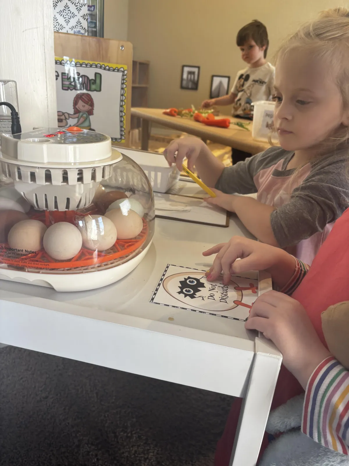 Boy picks paper out of different colored liquids