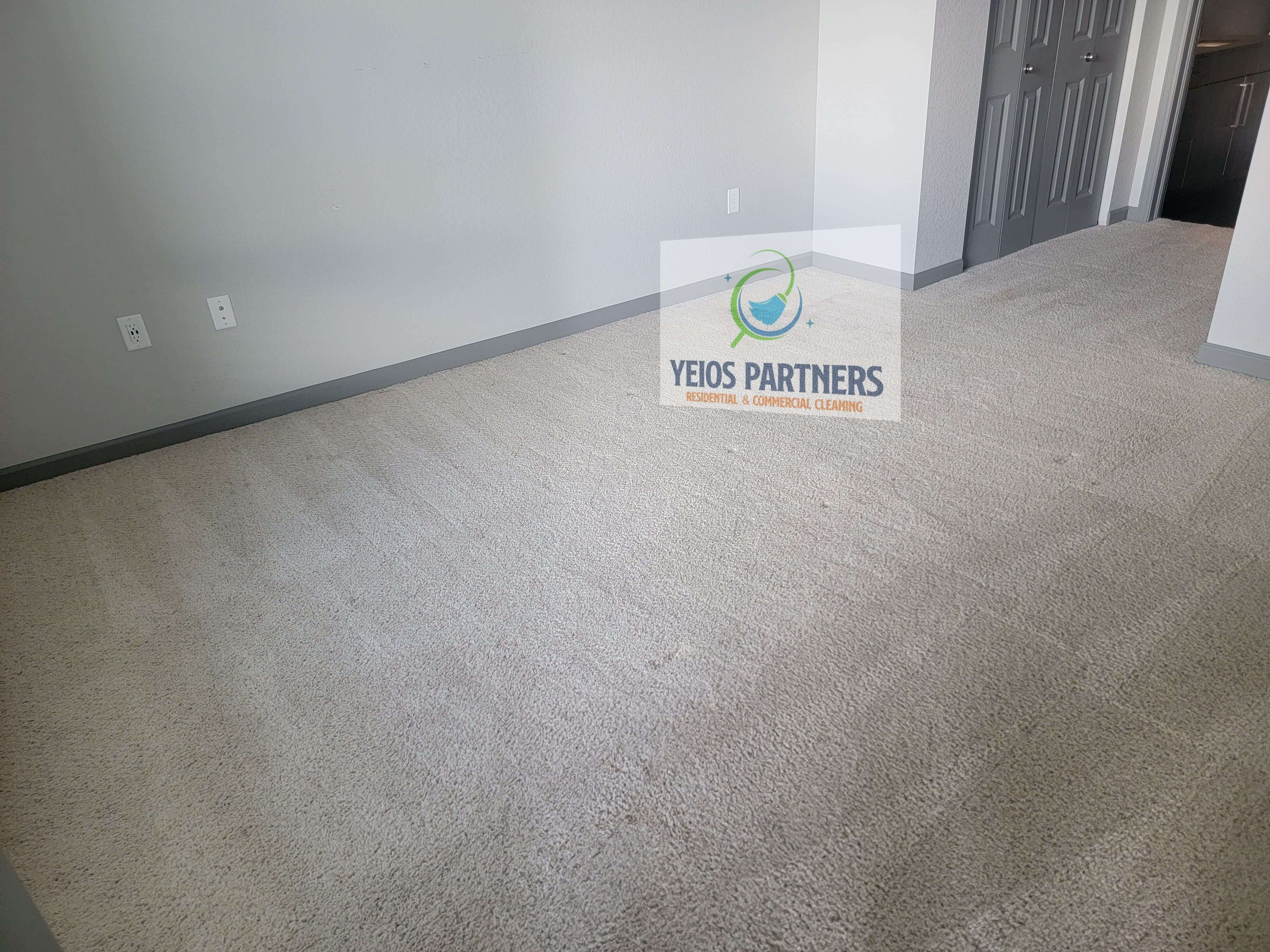 professional-carpet-shampooing-erie