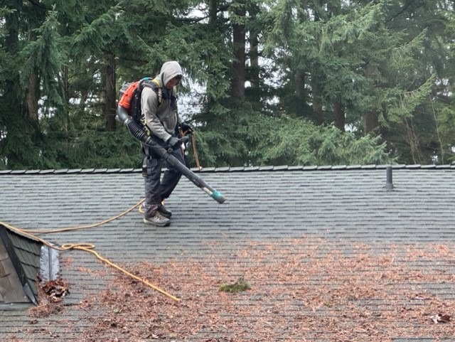 roof maintenance