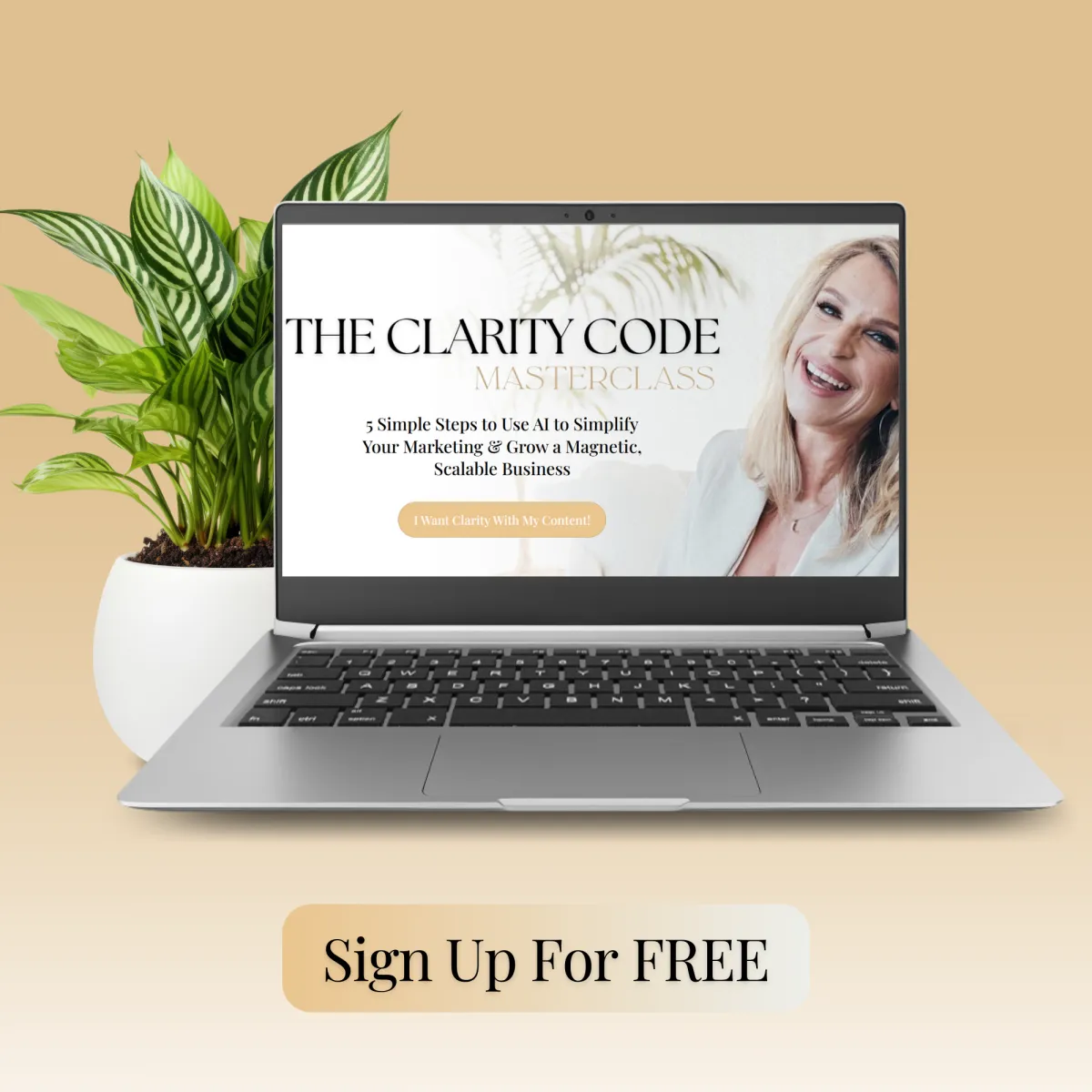 Content Clarity Program