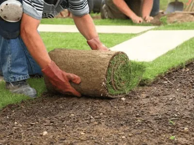 Newberg Professional Sod & Turf Installation