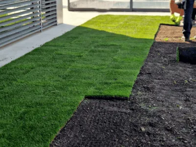 Professional Sod & Turf Installation