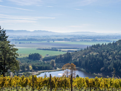 McMinnville Professional Sod & Turf Installation