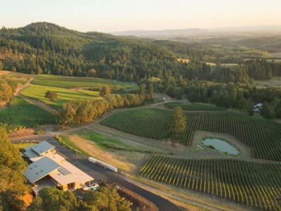 Newberg Professional Sod & Turf Installation