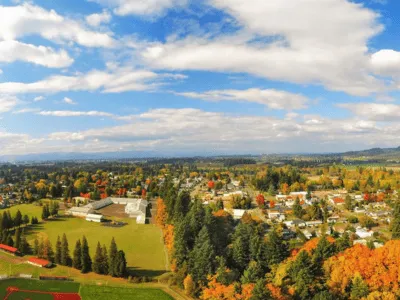 Irrigation System Installation & Repairs