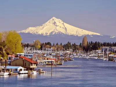 Irrigation System Installation & Repairs