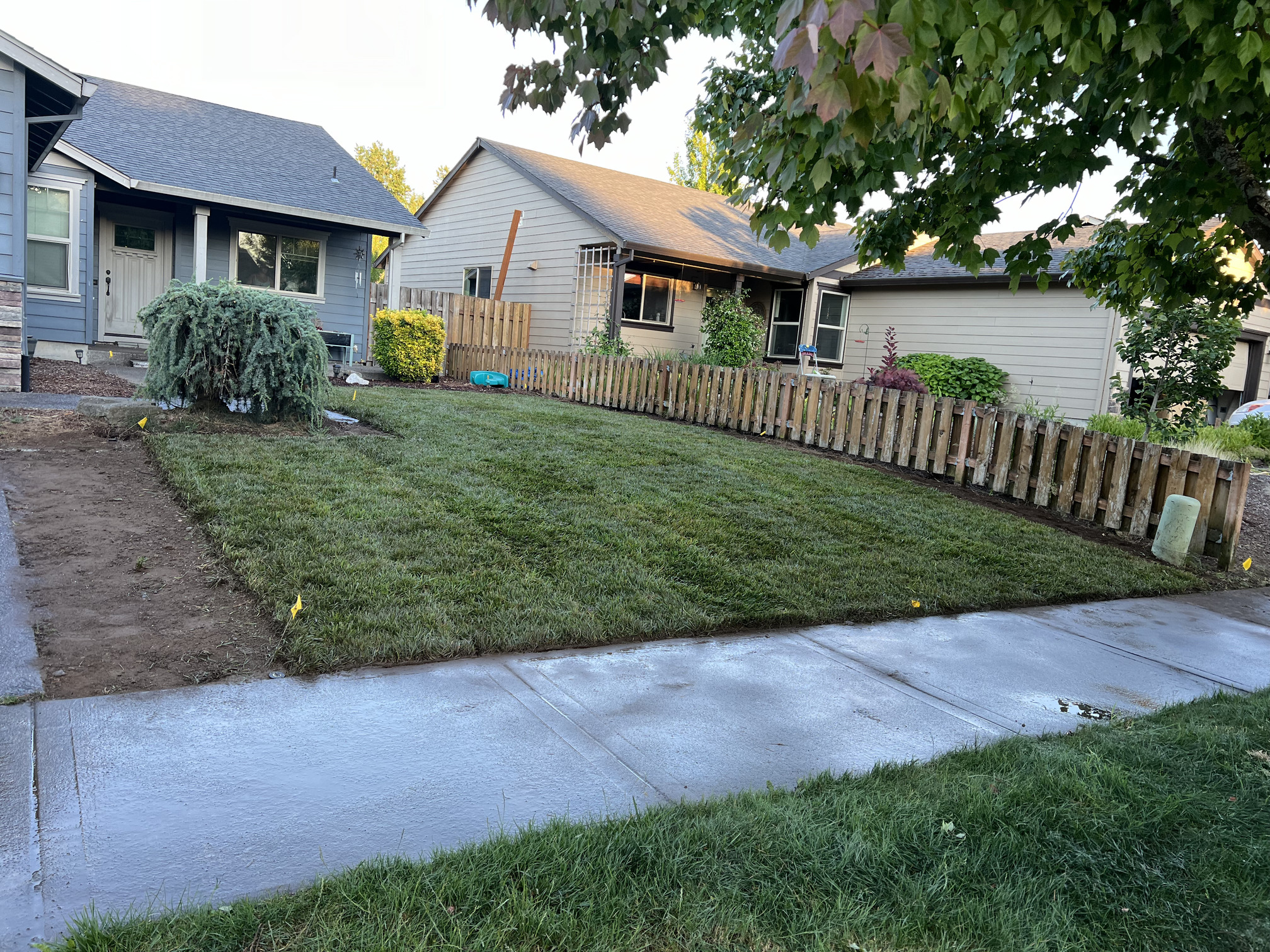 {{ custom_values.service_1 }} in {{custom_values.biz_area_1})