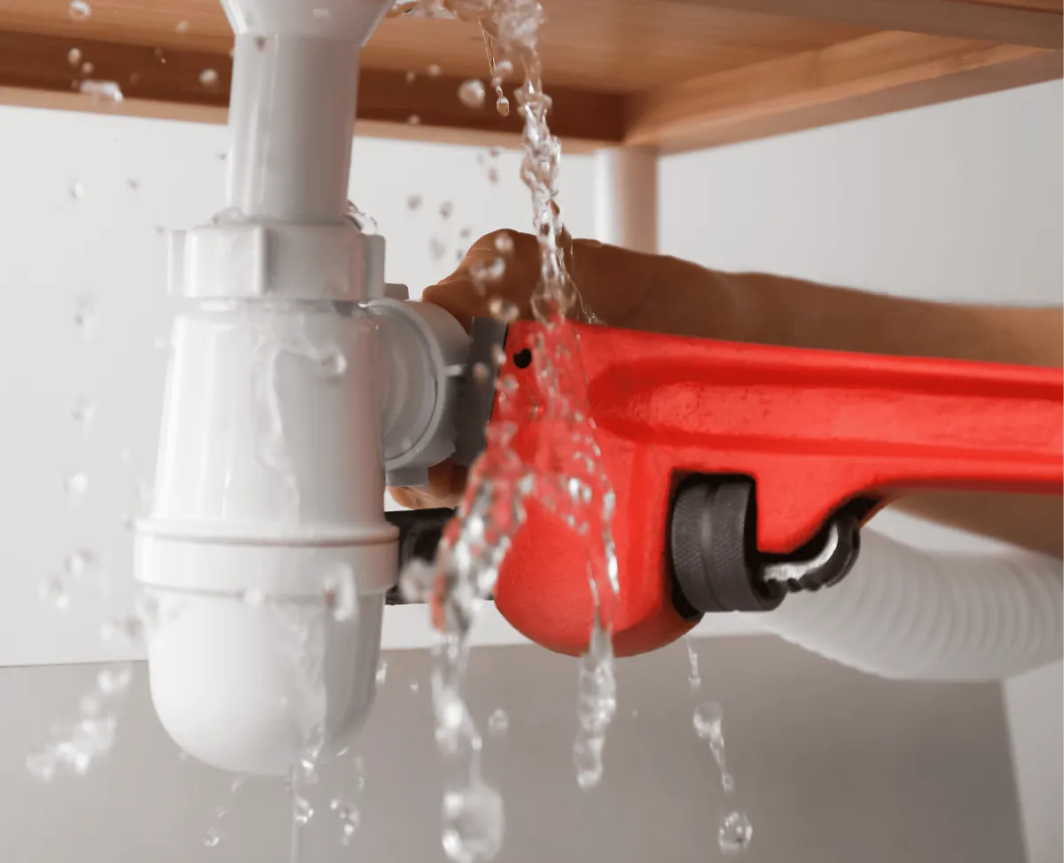 {{ custom_values.service_1 }} in {{custom_values.biz_area_1})