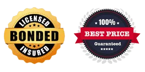 licensed and best prices