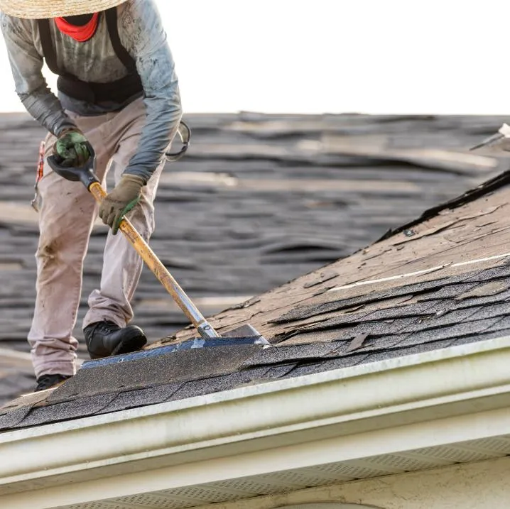 Shingle Roof